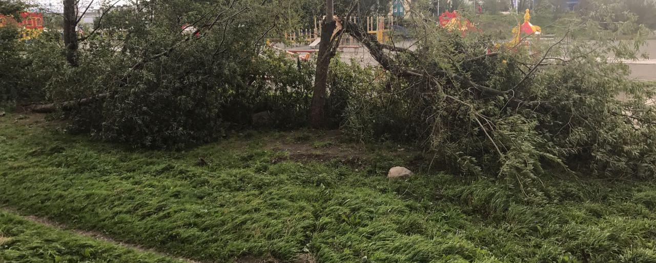 Петропавловск приходит в себя после тайфуна